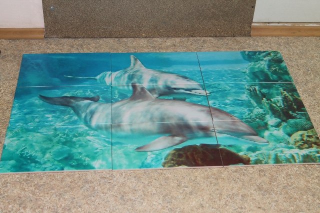 Рисунок дельфинов на плитке