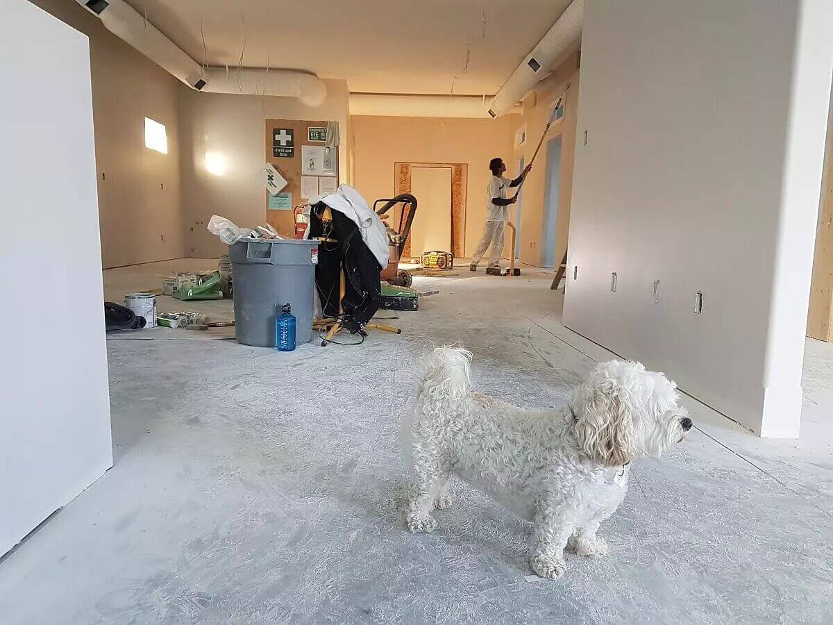Подготовительные работы перед косметическим ремонтом квартиры